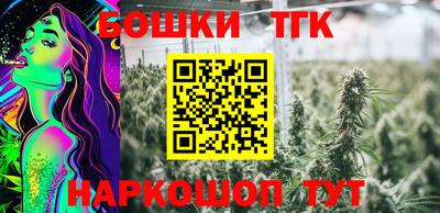 Альфа ПВП Кингисепп